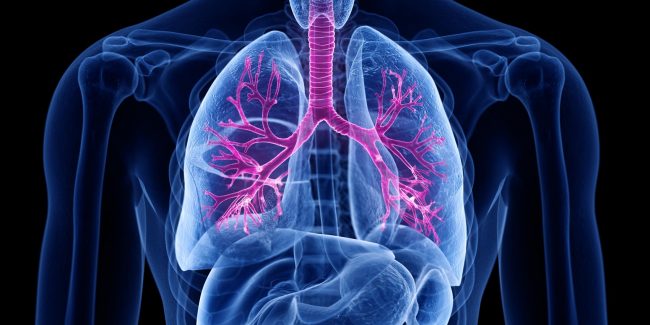 什么是慢性阻塞性肺病 (Chronic Obstructive Pulmonary Disease)，为何与新冠疫情有关？